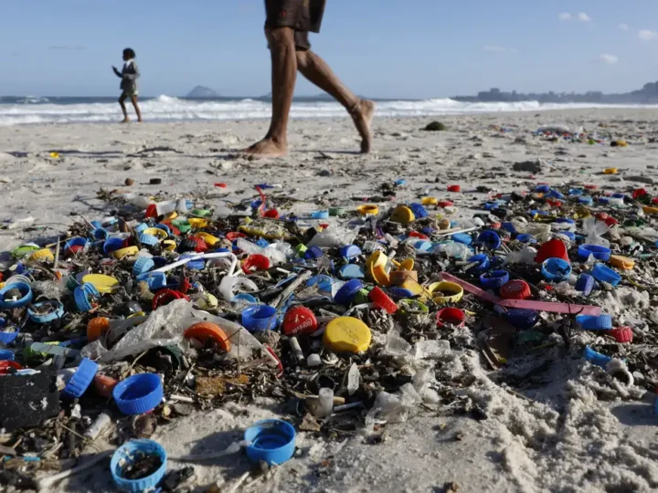 Micro e nanoplásticos contaminam água, ar e alimentos, mostra estudo