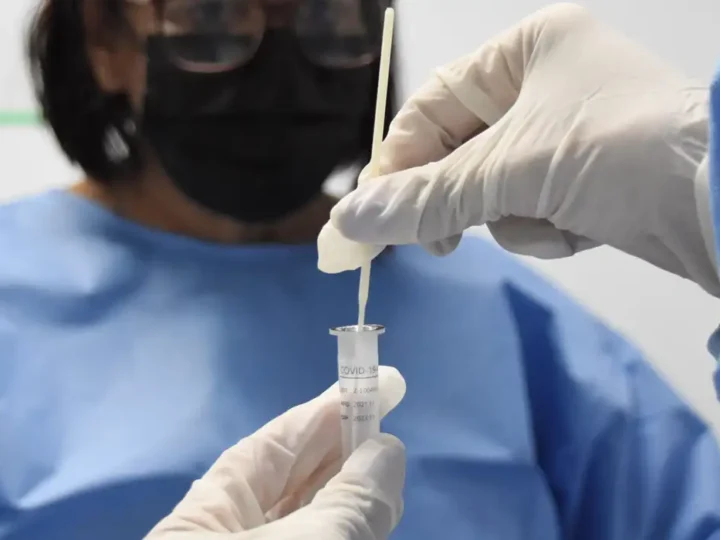 Covid-19 causou metade das mortes por vírus respiratórios em 4 semanas
