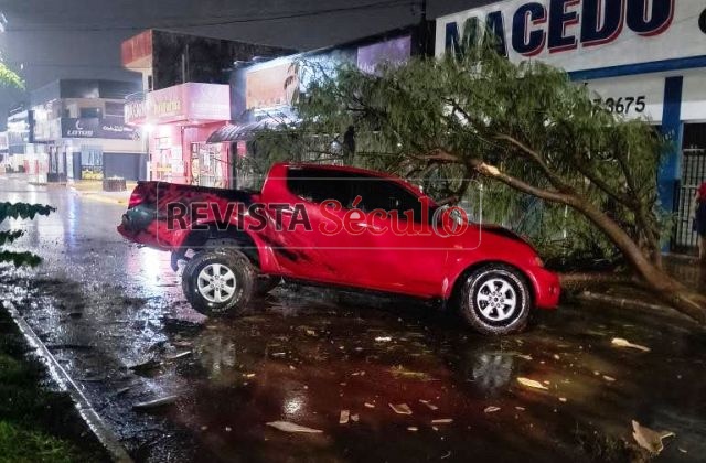 Motorista perde controle de L200 Triton e bate em árvore na avenida Melvin Jones; ocupantes ficam feridos