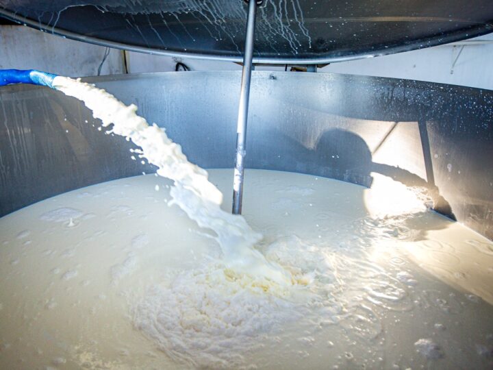 Jean Mendonça e Ismael Crispin defendem produtores de leite