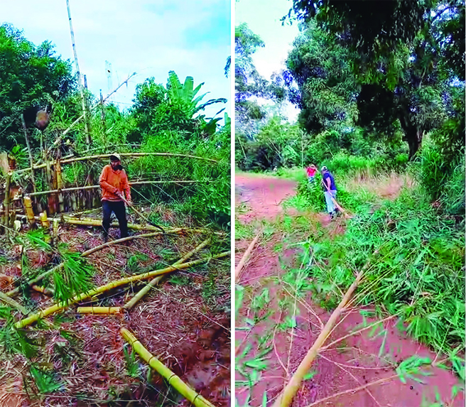 ENERGISA INEFICIENTE: Produtores de Porto Velho arriscam a vida para limpar rede de luz