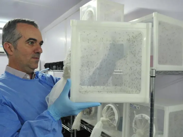 Brasileiro criador do “Aedes” que bloqueia dengue é eleito pela Nature