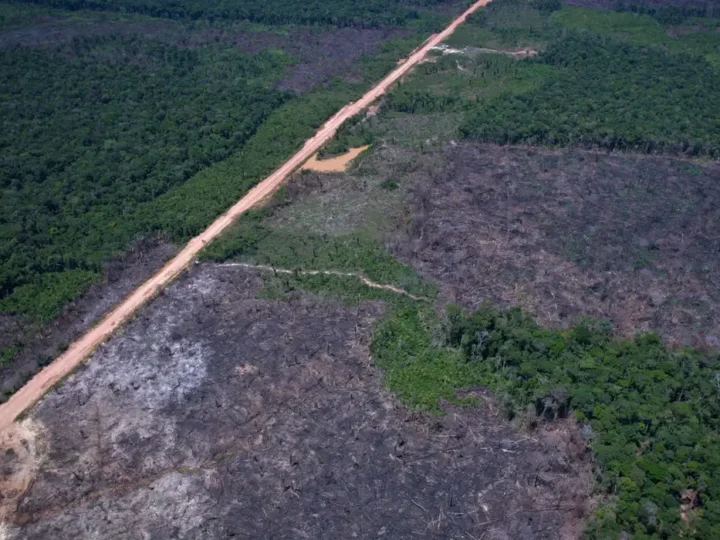 Alertas de desmatamento caem 35% na Amazônia e 6% no Cerrado