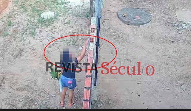 Mulher furta plaquinha de “Cuidado: Cão Bravo” e é flagrada por câmeras em Vilhena