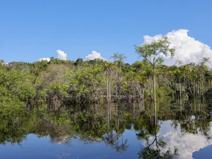 Governo levantou R$ 179 bi desde 2023 para transição ecológica