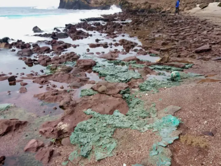 Rochas de plástico chegam a ninhos de tartarugas em ilha brasileira