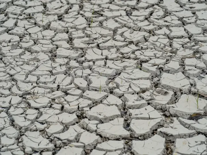 Estiagem: quinze cidades têm situação de emergência decretada