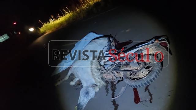 Garoto de 17 anos morre após colidir contra cavalo na Rodovia do Boi em Corumbiara