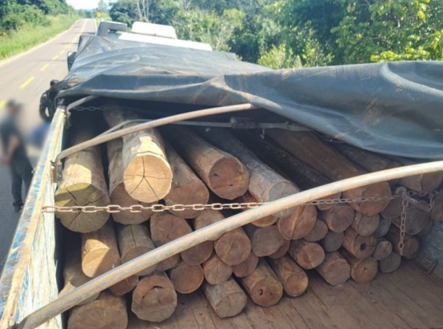 Batalhão de Polícia Ambiental apreende madeira ilegal durante fiscalização em Vilhena