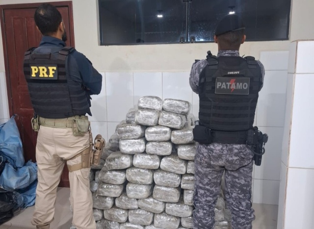 Ação conjunta da PRF em Rondônia e PMRO resulta na apreensão de mais de 180 kg de skunk em Cacoal