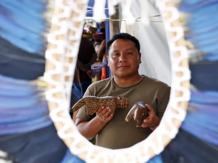 Indígenas relatam que desmatamento impacta produção de cocares