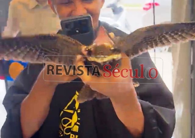 Curiango invade barbearia Bretas no Centro de Vilhena e bombeiros são acionados