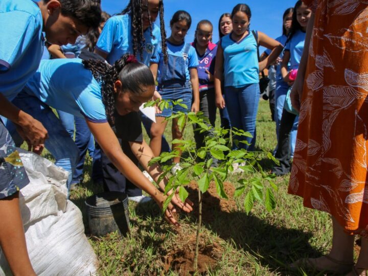 Abertura da Semana do Meio Ambiente em Vilhena destacará desafios entre agro e preservação