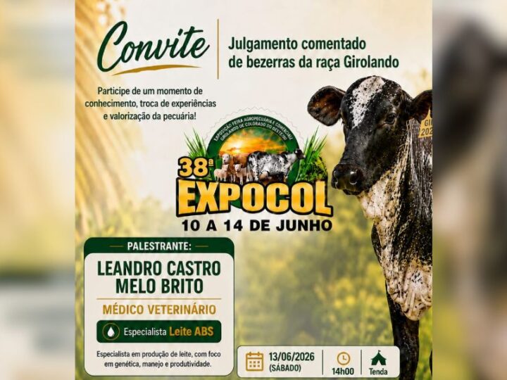 Julgamento de Bezerras Girolando é a principal atração de hoje na Expocol