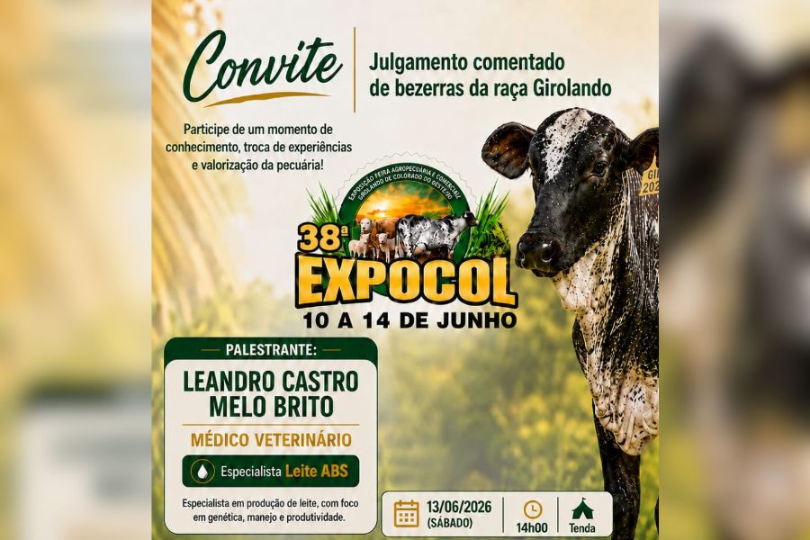 Julgamento de Bezerras Girolando é a principal atração de hoje na Expocol