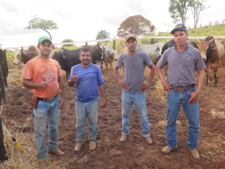 NOS BASTIDORES DO RODEIO: tropeiros, chapas e fiscais garantem a segurança e o espetáculo na 38ª Expocol