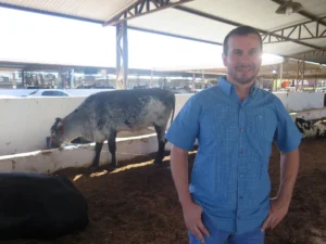 Expocol realiza julgamento comentado de bezerras Girolando para avaliar potencial genético e produtivo