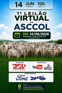 Reta final da 38ª Expocol terá 1º Leilão Virtual da ASCCOL