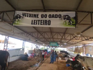 Concurso Leiteiro da 38ª Expocol evidencia o potencial da pecuária do Cone Sul