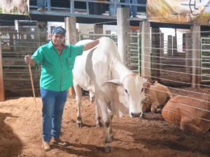 Genética Rancho Verde destaca a relevância da Expocol para o setor pecuário regional