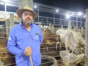 Veterano da Expocol, Elton Lago aposta em genética no Shopping de Touros PO